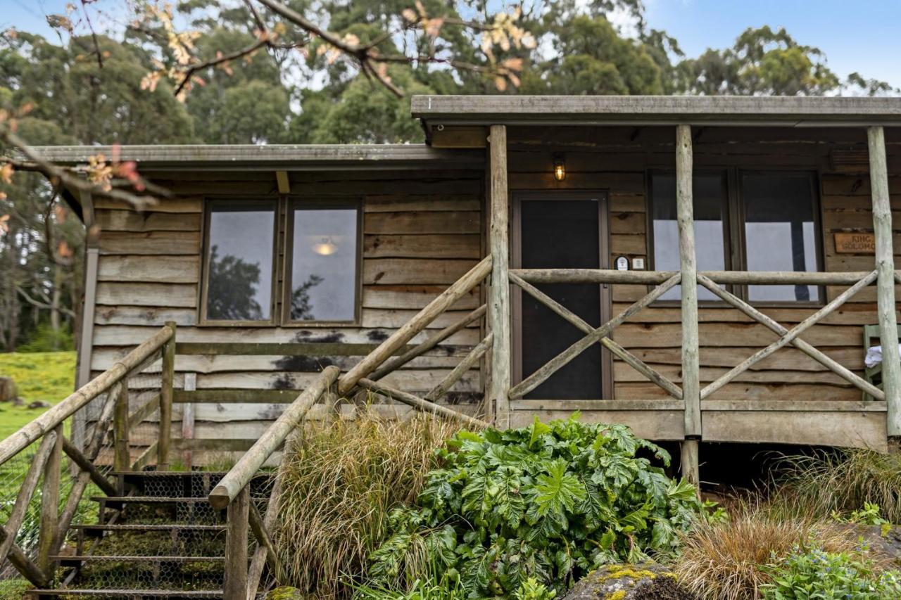 Mole Creek Cabins エクステリア 写真