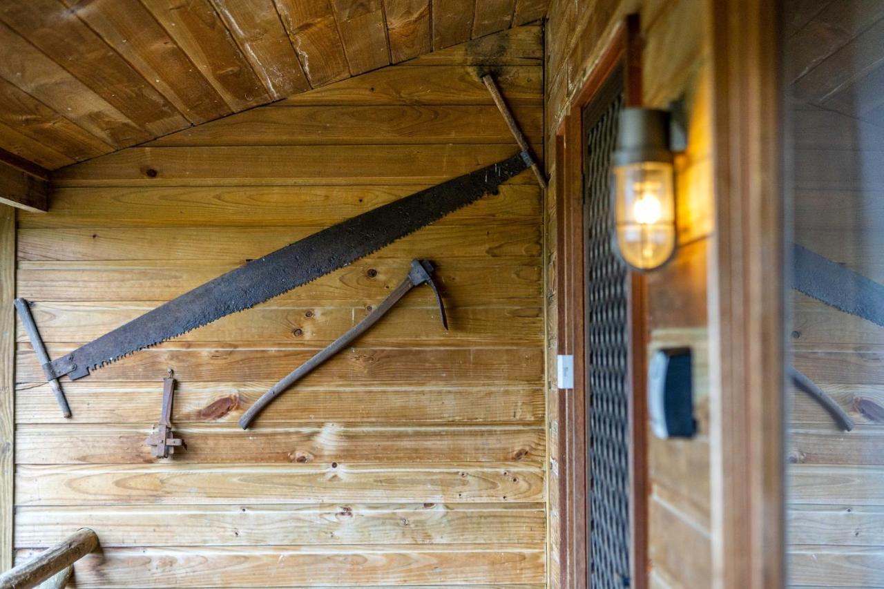 Mole Creek Cabins エクステリア 写真