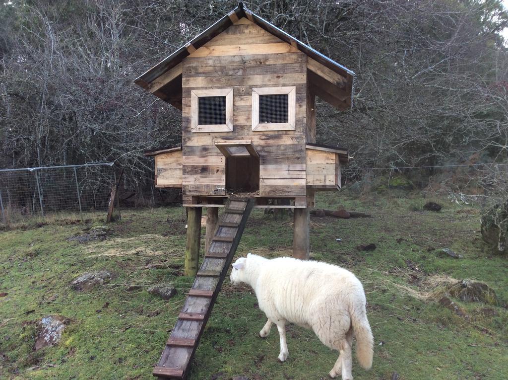 Mole Creek Cabins エクステリア 写真